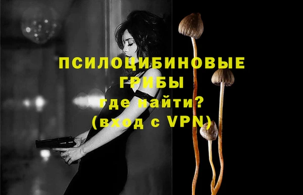 не бодяженный Михайлов
