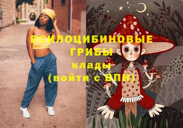 2c-b Михайловка
