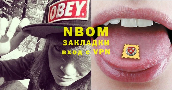 гашик Пыталово