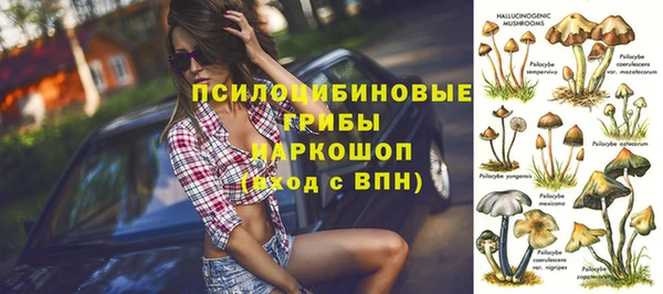 2c-b Михайловка