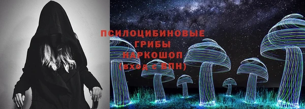 2c-b Михайловка