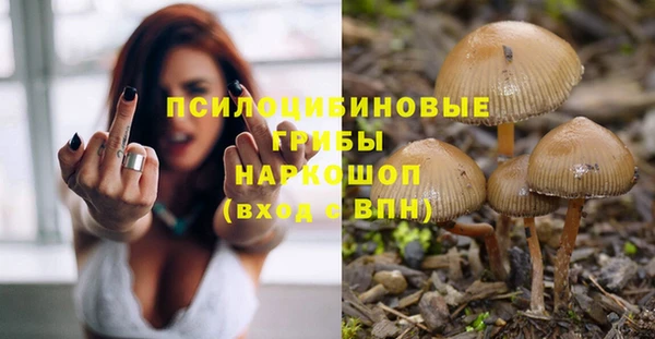 эйфоретик Навашино