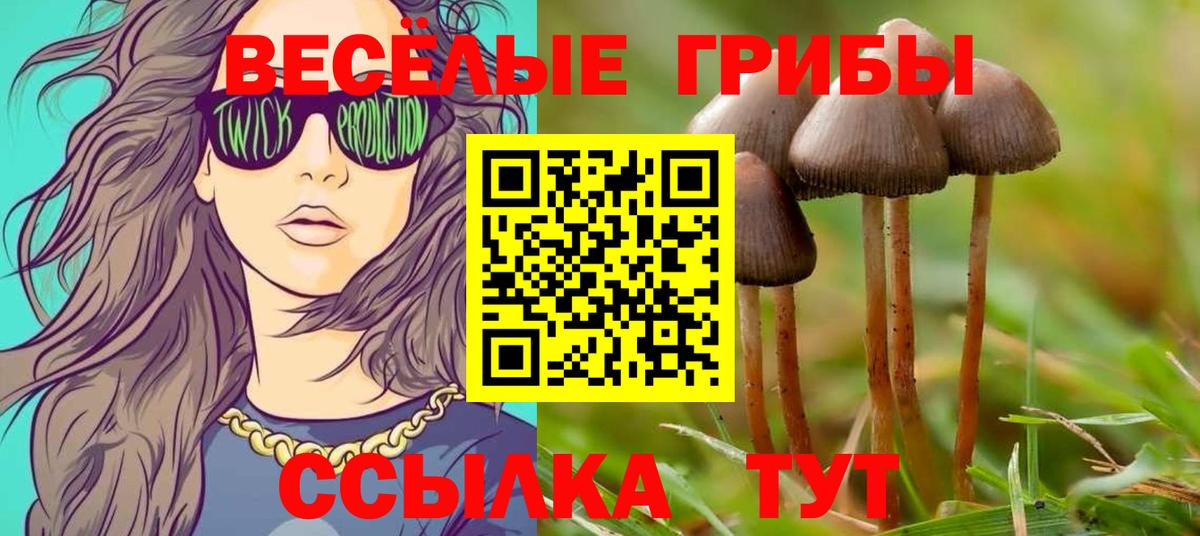 Киржач  Псилоцибиновые грибы ЛСД  купить   Вход с VPN  Псилоцибиновые грибы Magic Shrooms 